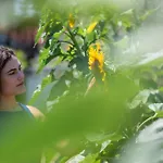 Вилла Phillyrea Luxury Кос