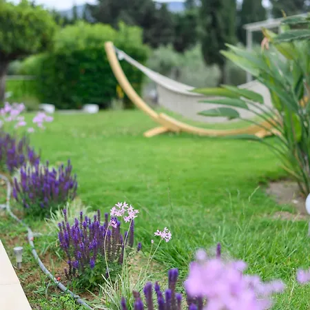 Villa Phillyrea Luxury