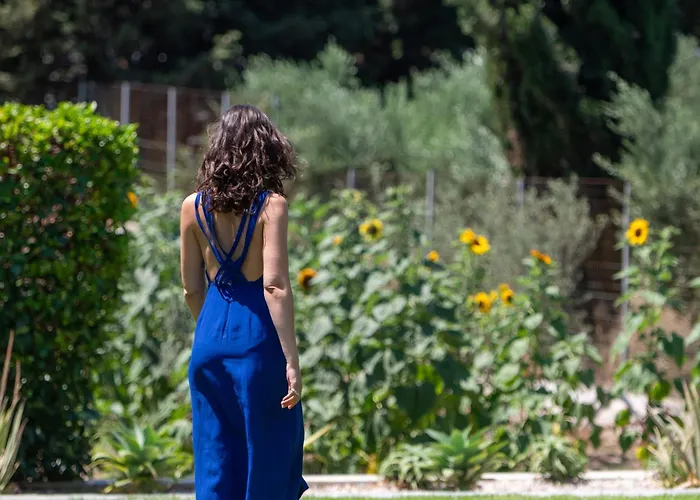 فيلة Phillyrea Luxury *