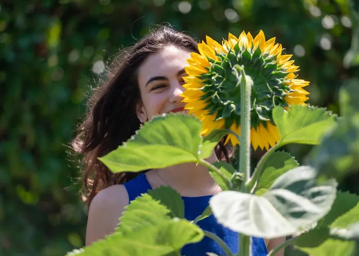 Phillyrea Luxury Kos-stad