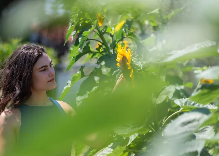 Willa Phillyrea Luxury Miasto Kos